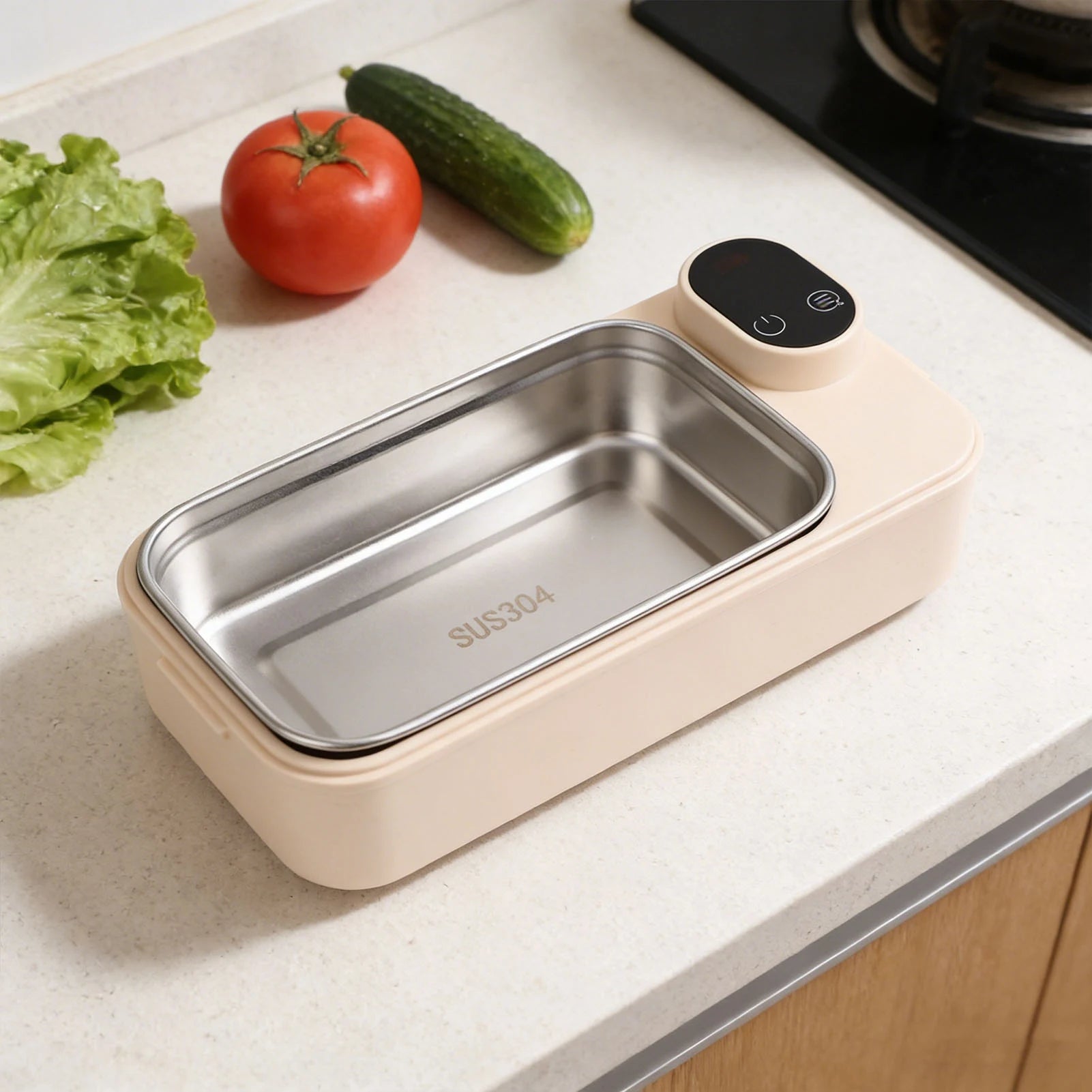 Electric Lunch Box — Heat Your Meals Anywhere